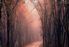 国米队员用实力说话，连胜之路一路领先