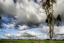 足球职业联赛胜负难料，各队实力对比角逐