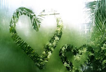 吉尔格斯连中三分，猛龙不敌篮网