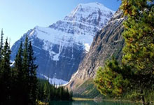 失分痛失！球队惨遭淘汰亚冠小组末位