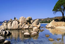 蒙彼利埃法甲比赛抢夺积分须速战速决